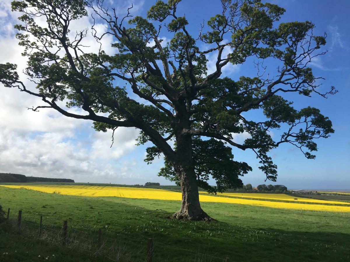 Buckton Farmhouse ベルフォード エクステリア 写真
